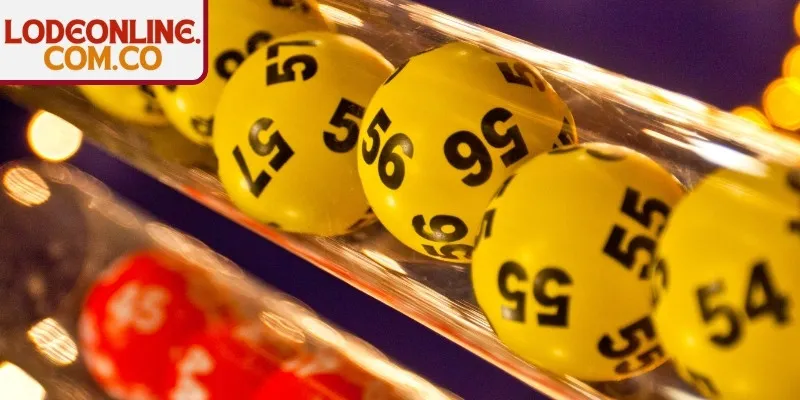 4 Càng Là Gì - Luật Chơi Hấp Dẫn Và Bí Kíp Vào Bờ Dễ Dàng